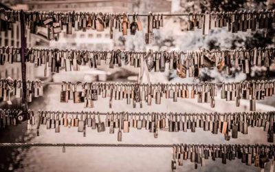 Cómo Elegir Temas y Plugins Seguros para WordPress