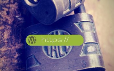 Certificado SSL gratuito para WordPress en 3 pasos