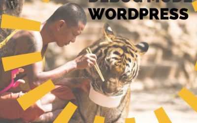 Depurar WordPress: WordPress Debug Mode