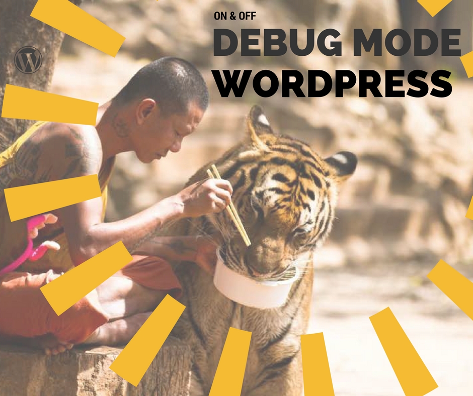 Depurar Wordpress