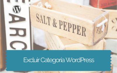 Cómo excluir una categoría del Blog de WordPress