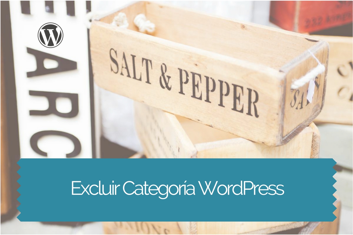 Excluir Una Categoria Wordpress