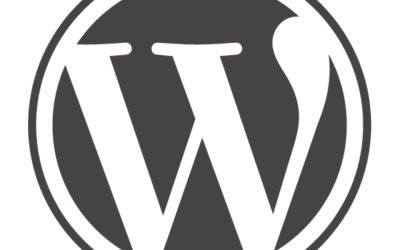 Desarrollo Web WordPress Profesional para PYMES que Quieren Destacar Online