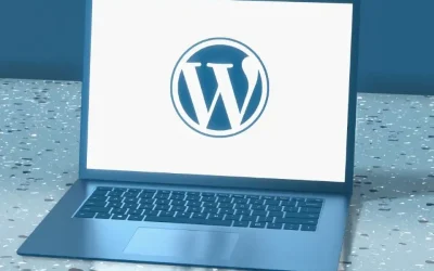 Tipos de contenidos en wordpress 960
