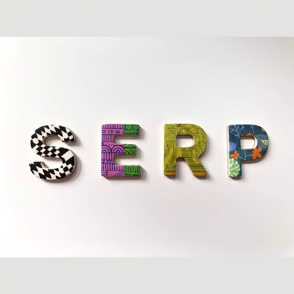 Serp search engine results page