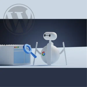 Seo y como implementarlo en wordpress