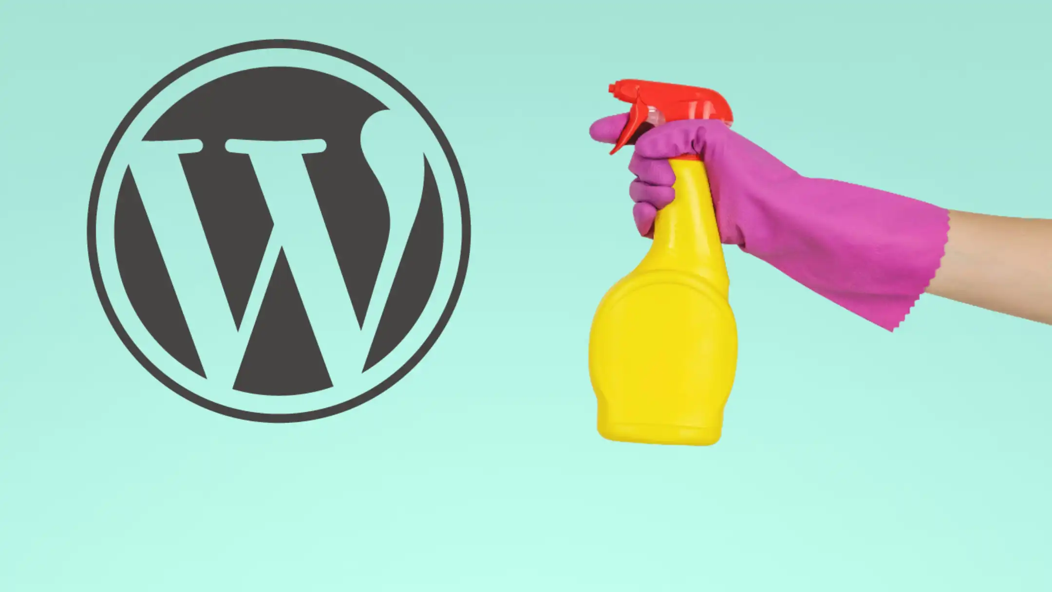 Limpiar la base de datos wordpress