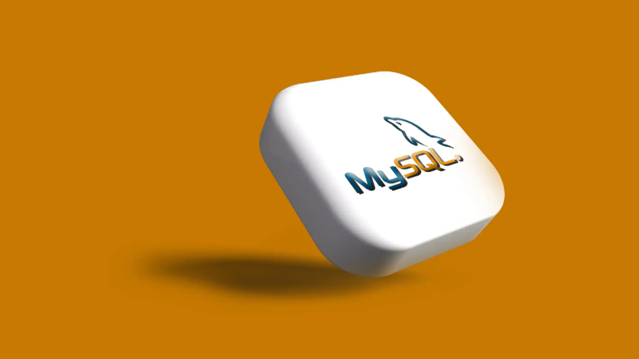 Mysql WordPress