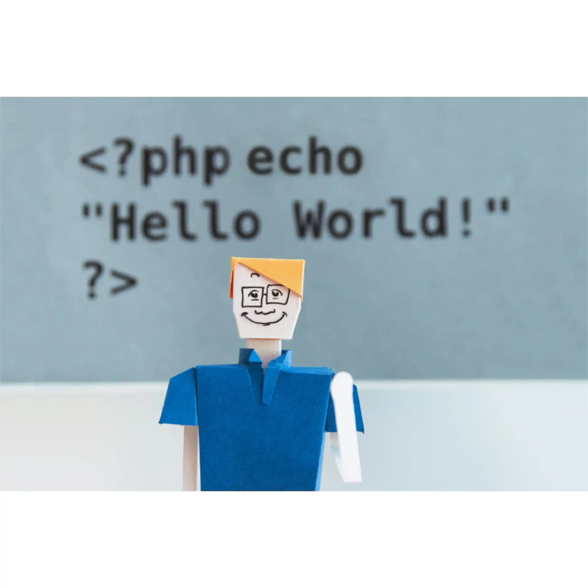 Necesito saber prograrmar para utilizar wordpress