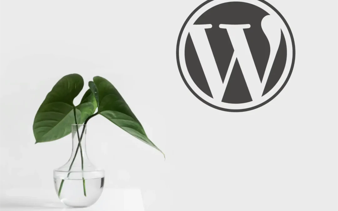 Protege tu SEO Mejorando la Seguridad en WordPress