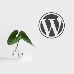 Protege tu seo mejorando la seguridad wordpress