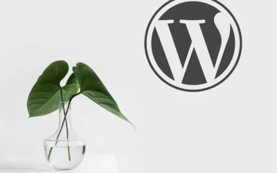 Protege tu SEO Mejorando la Seguridad en WordPress