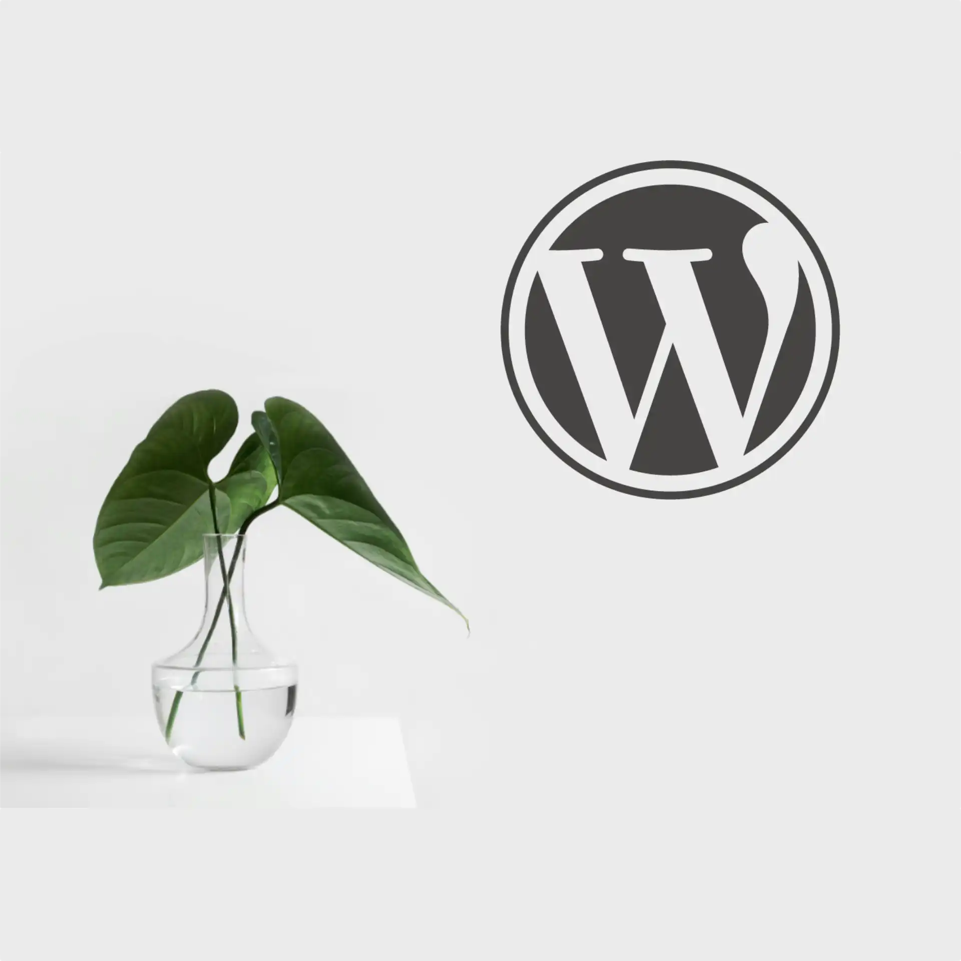 Protege tu seo mejorando la seguridad wordpress