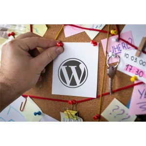 Que es wordpress org