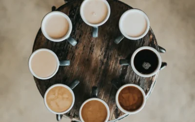 Qué Tipos de Web se Pueden Crear con WordPress