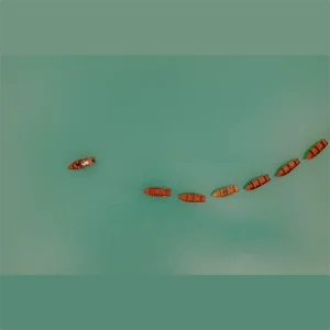 Convirtiendo interes en ventas el papel de los leads en tu estrategia