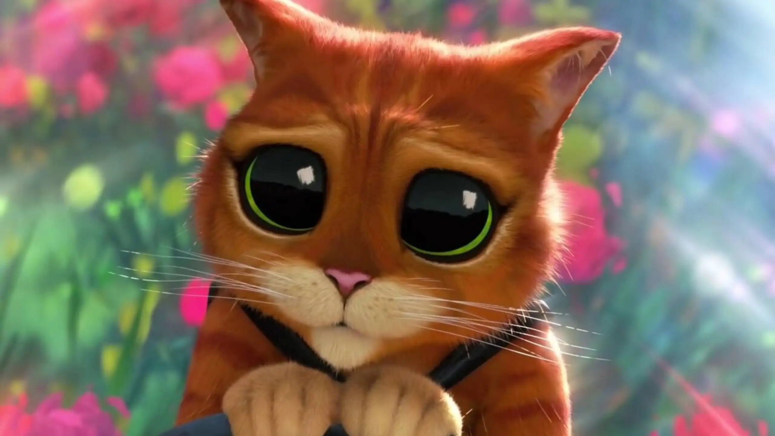 La mirada del gato de shrek