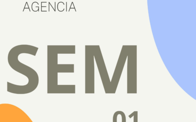 Cómo una Agencia SEM Optimiza Tu Inversión en Google Ads